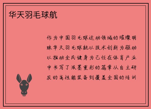 华天羽毛球航